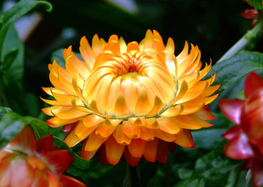 603639 (a): :1700x1210